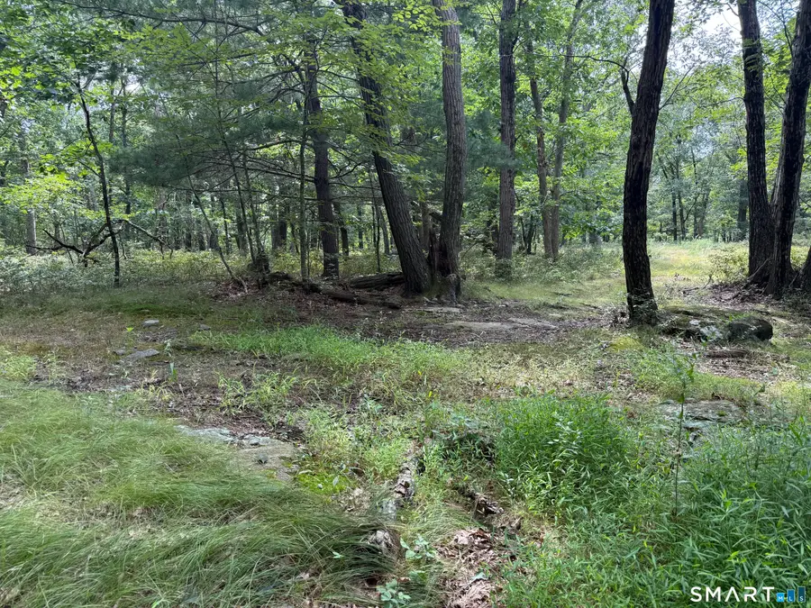 lot 29 Route 32, Franklin, CT 06254 - #2