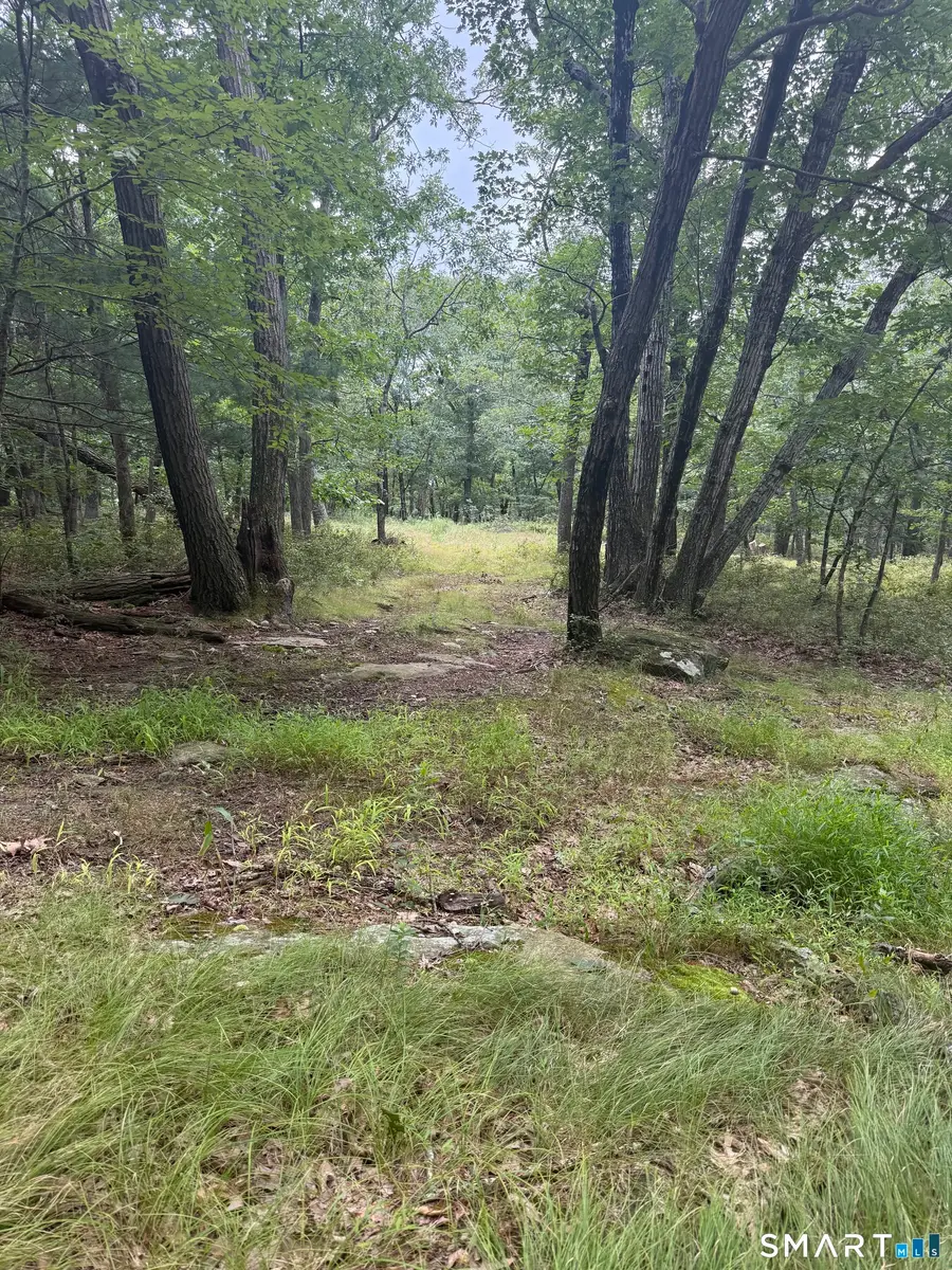 lot 29 Route 32, Franklin, CT 06254 - #3