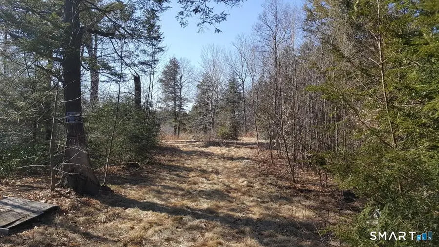 53 Flag Hill Road, Colebrook, CT 06021 - #2