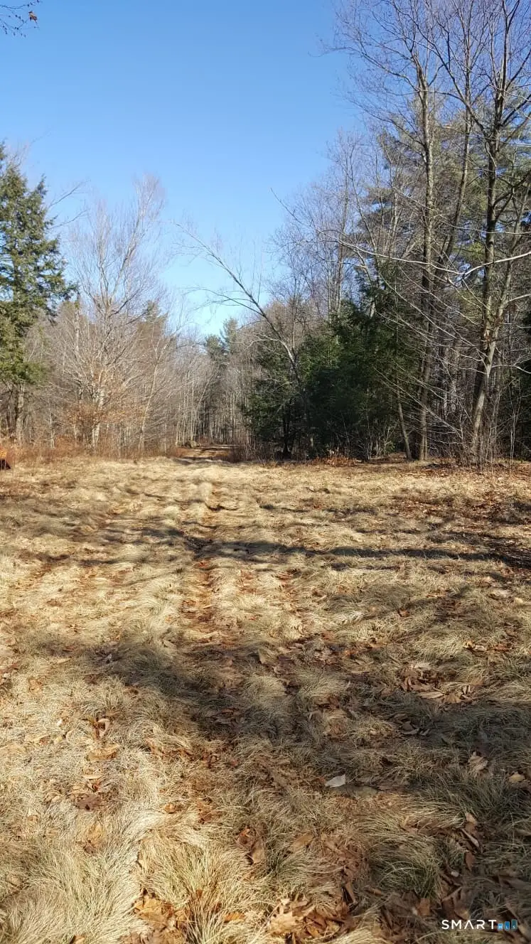 53 Flag Hill Road, Colebrook, CT 06021 - #3