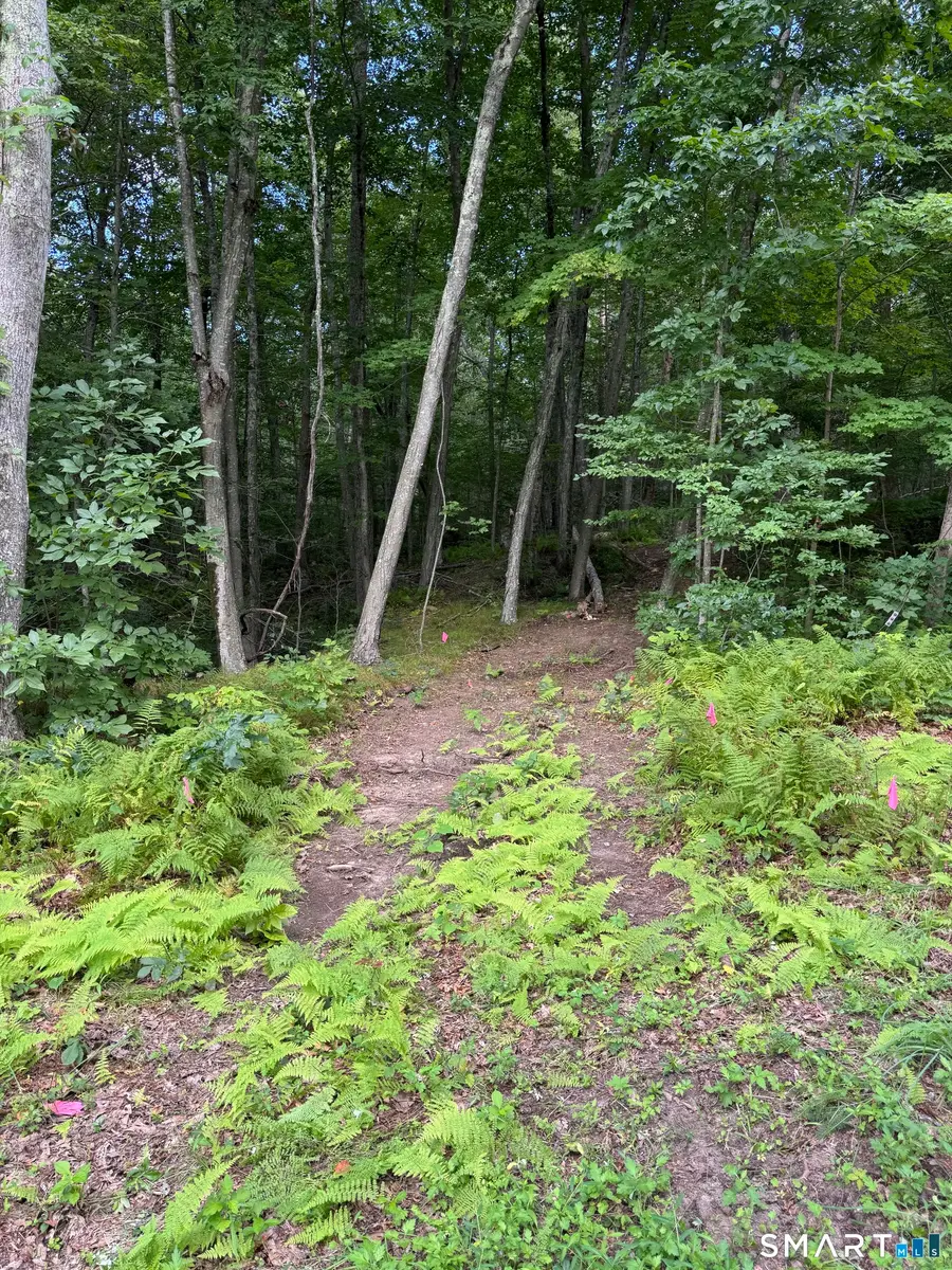 Tater Hill Road, East Haddam, CT 06423 - #2