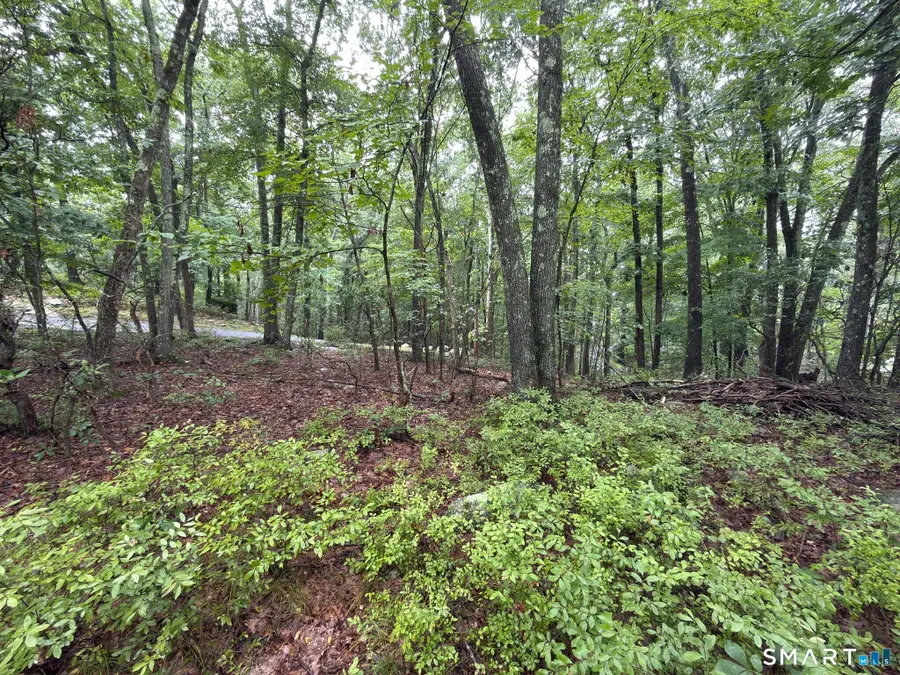 354 Good Hill Road, Weston, CT 06883 - #3