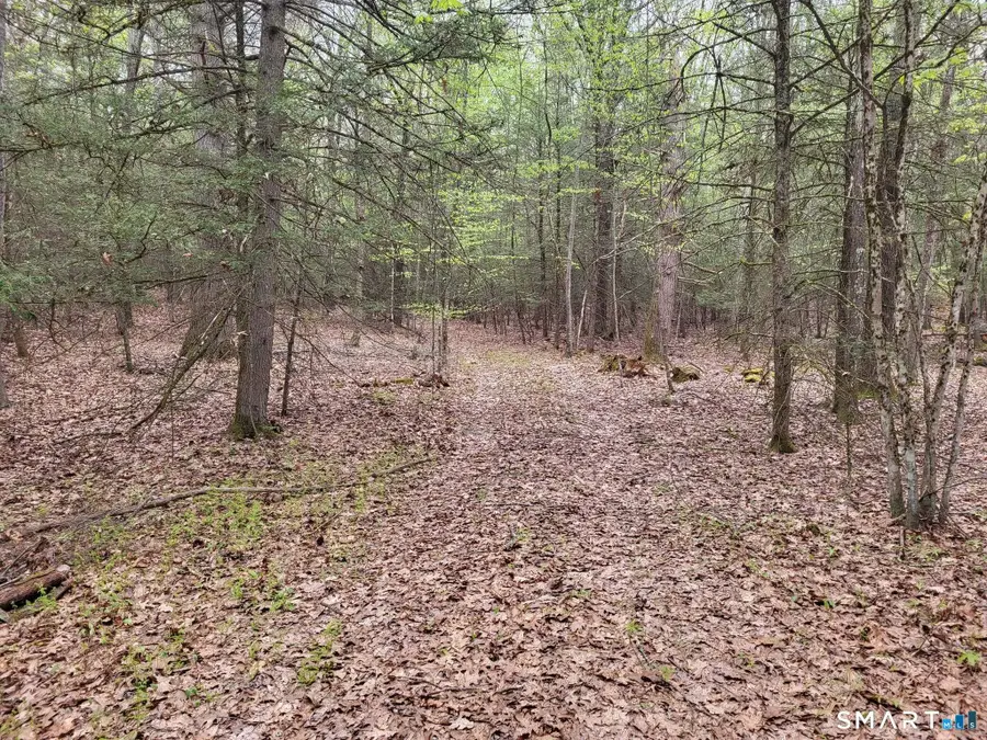 00 Pole Bridge Road, Woodstock, CT 06281 - #2