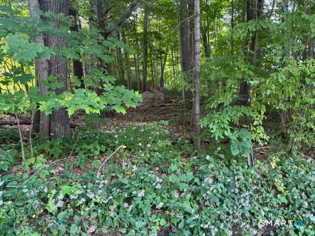 2 Kimmick Road, Old Lyme, CT 06371 - #3
