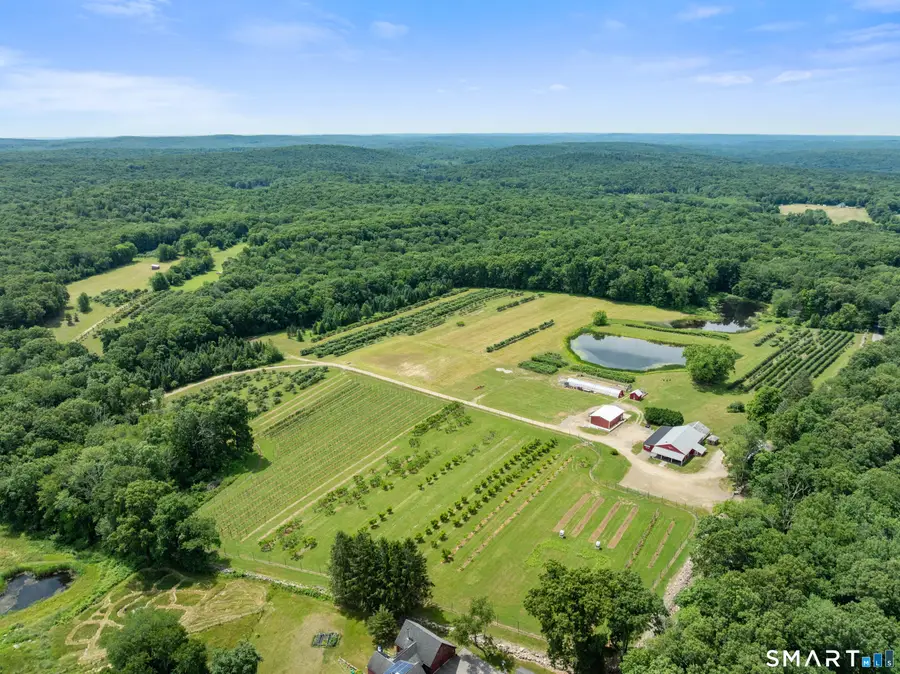 317 Bebbington Road, Ashford, CT 06278 - #2