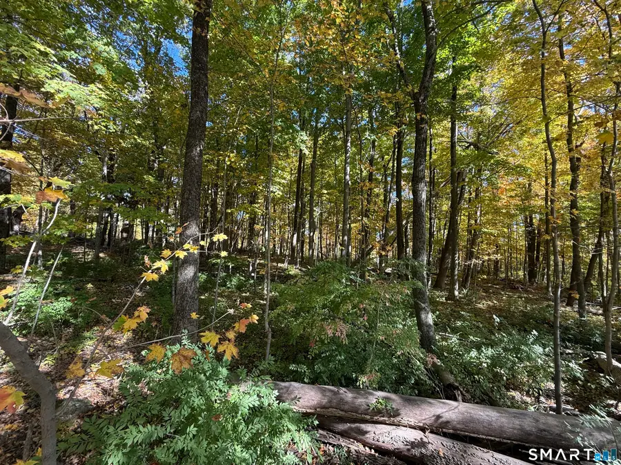Joray Road, Sharon, CT 06069 - #3