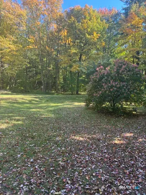 9 Birch Hill Road, Morris, CT 06763 - #3