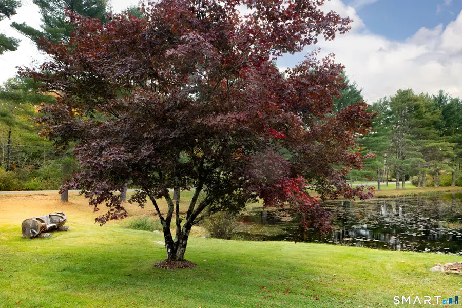 363 Colebrook Road, Colebrook, CT 06021 - #2