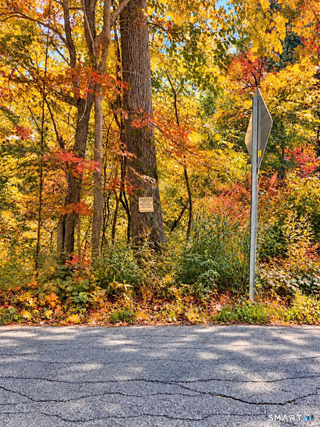 0 Cherry Swamp Road, Moodus, CT 06469 - #1