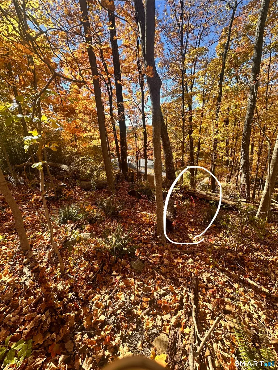 Juniper Drive, New Milford, CT 06776 - #3