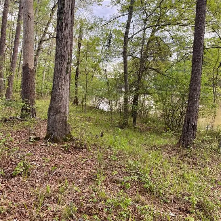 466 Twin Bridges Lot 4 Road, Eatonton, GA 31024 - Image #2