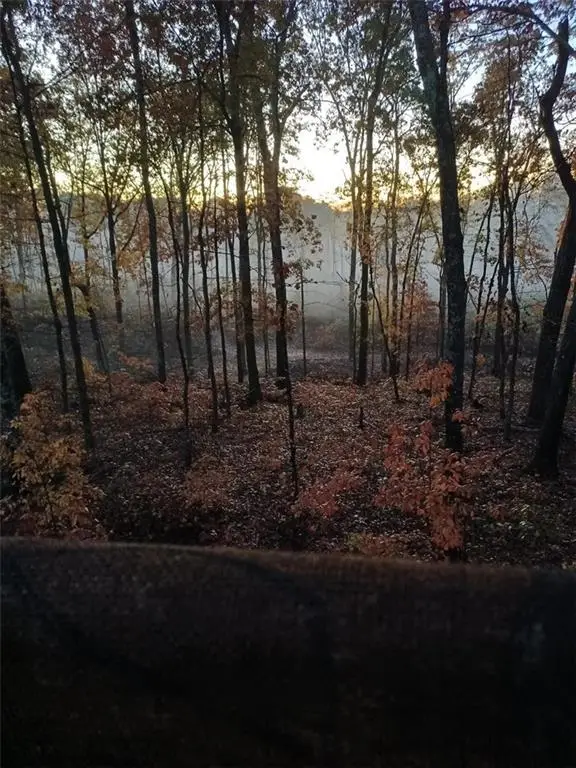 #3