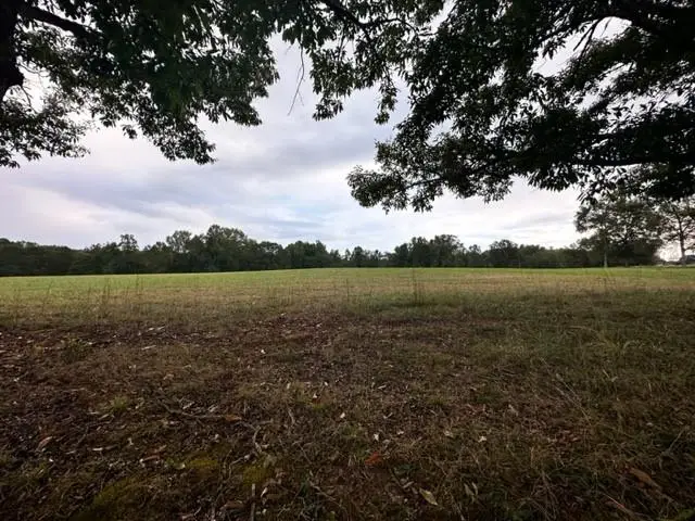 #3