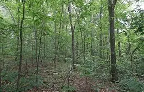 #3