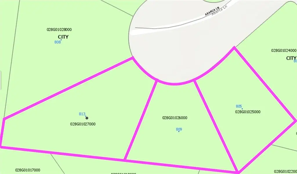 809 Abarca Lane, Stockbridge, GA 30281 - Image #1