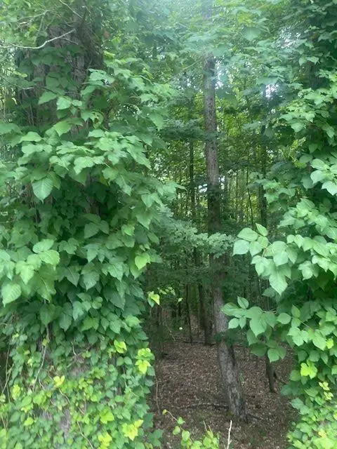 #2