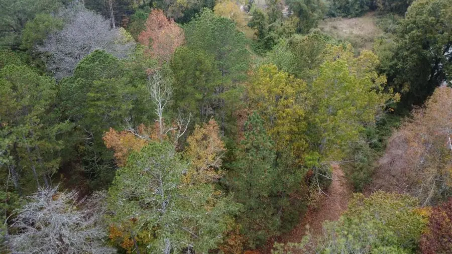 #3