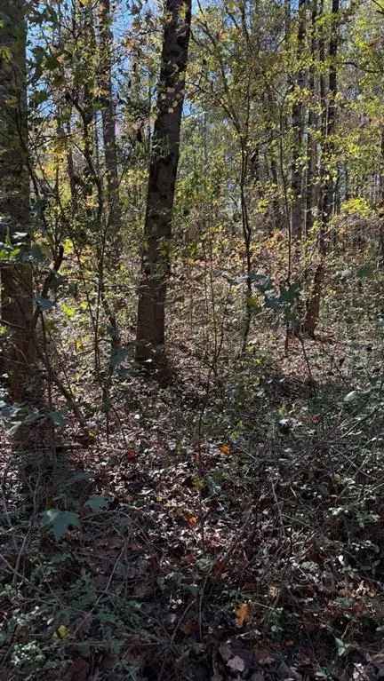 #3