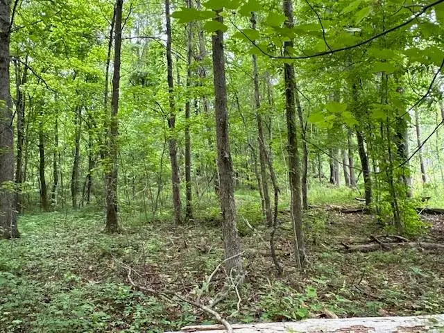 #3
