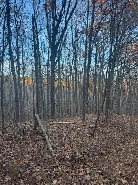 18N Bear Paw Road, Jasper, GA 30143