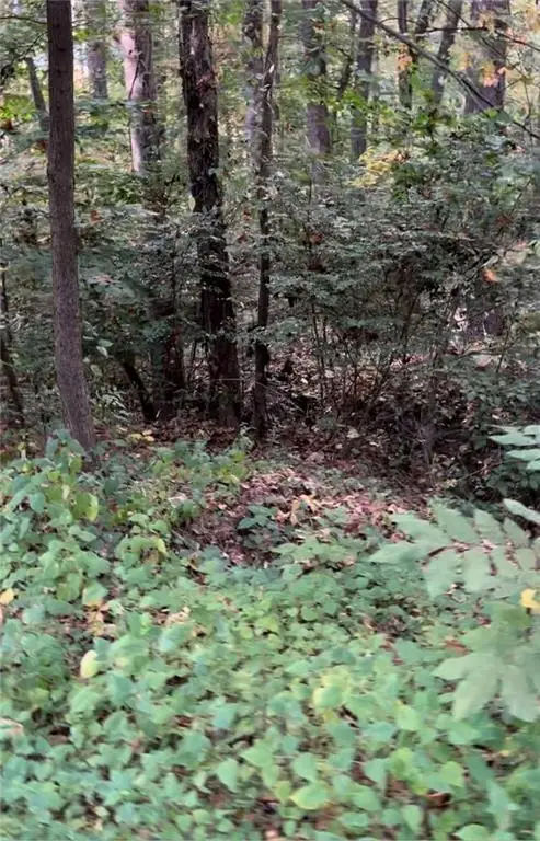 #2