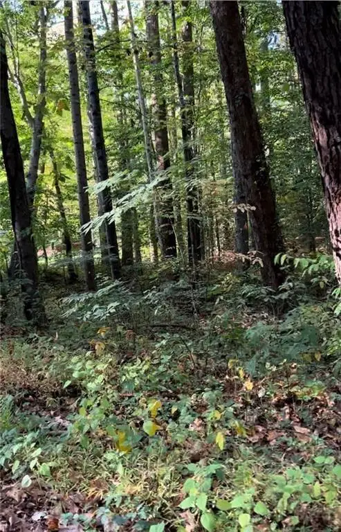 #3