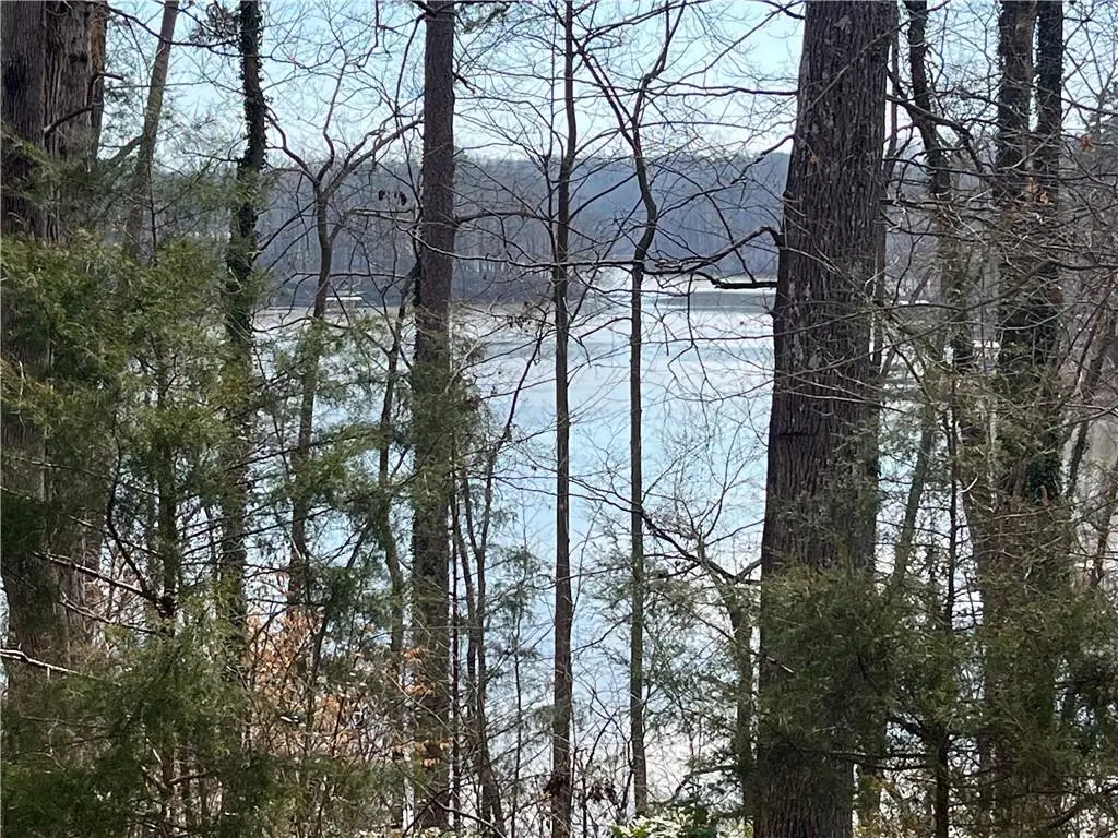 0 Rue Maurice, Lavonia, GA 30553 - Image #1