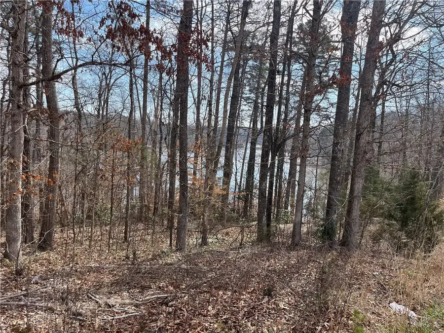 0 Rue Maurice, Lavonia, GA 30553 - Image #2