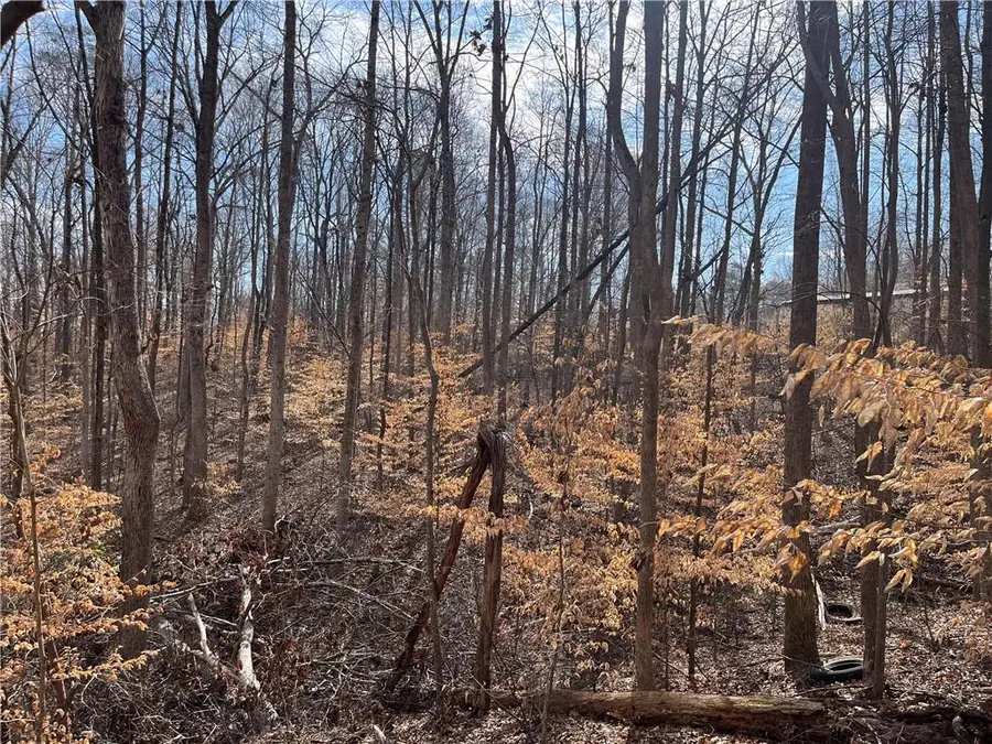 0 Rue Maurice, Lavonia, GA 30553 - Image #3