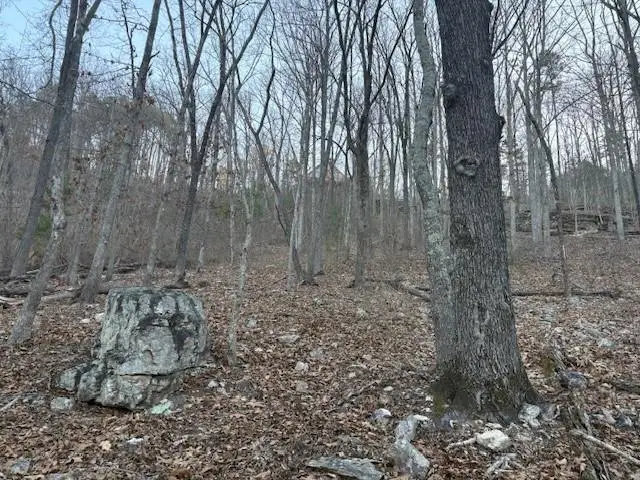 #2