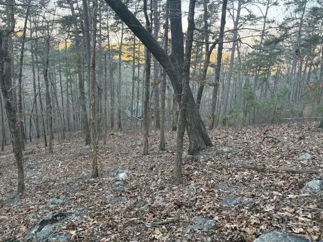 #3