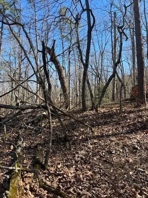 #2