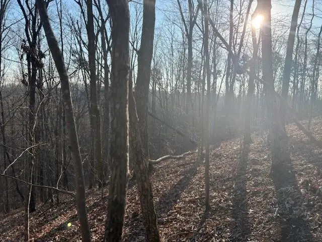 #3