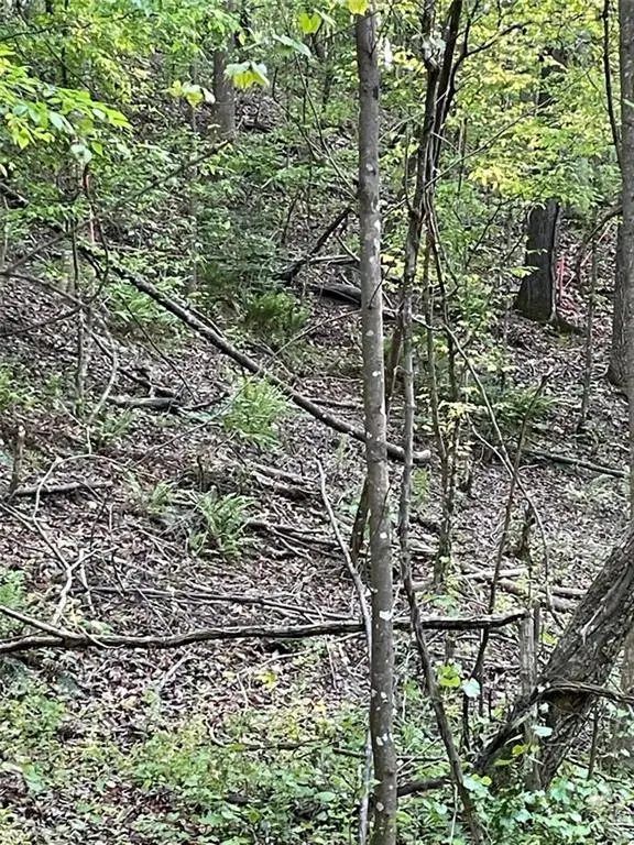 #3