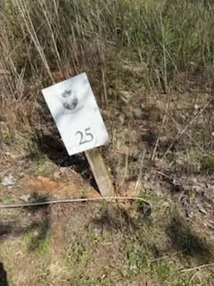 #2