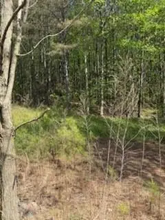 #3