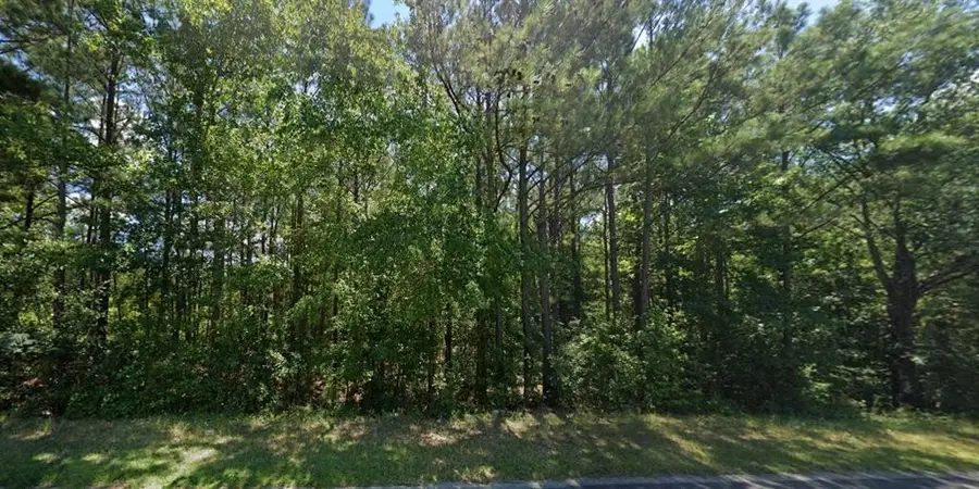 1096 Buckner Road, Junction City, GA 31812 - Image #3