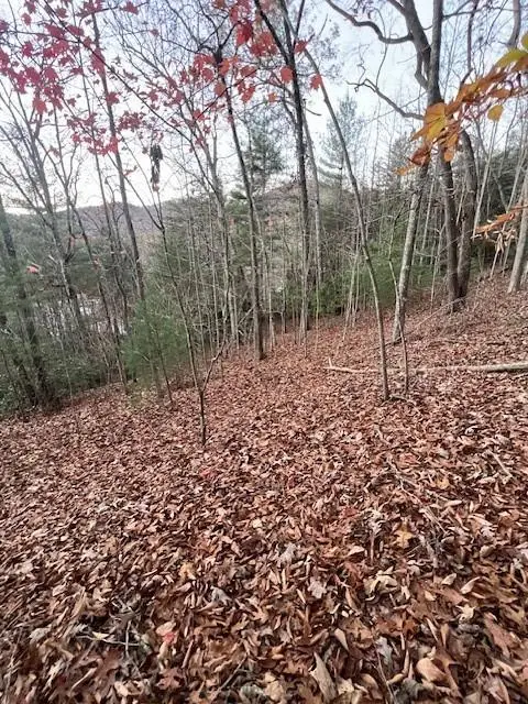#3