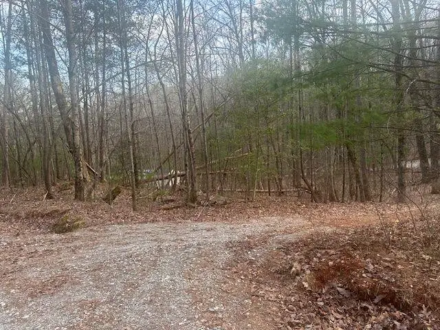 38 &51 Mountain Crest Road, Dawsonville, GA 30534 - #3