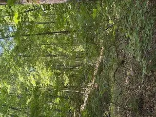 #2