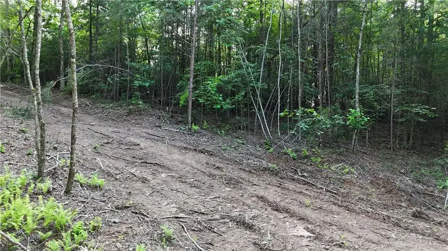 #3