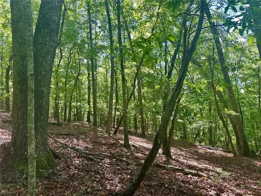 #3