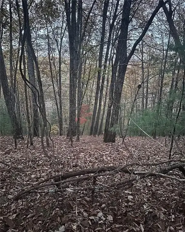#3