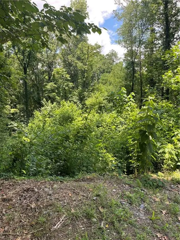 609 Ann Court, Woodstock, GA 30188 - #1