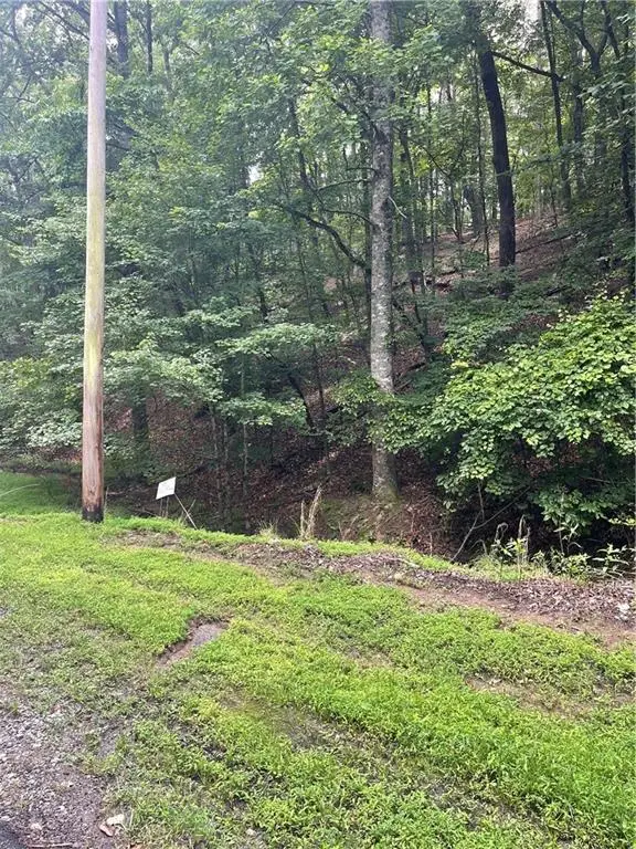 124 Morning Star Drive, Waleska, GA 30183