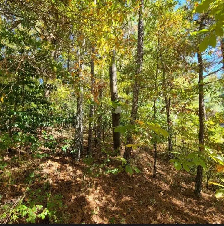 0 Scarlett Lane, Rome, GA 30161 - #2