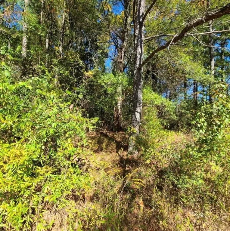 0 Scarlett Lane, Rome, GA 30161 - #3