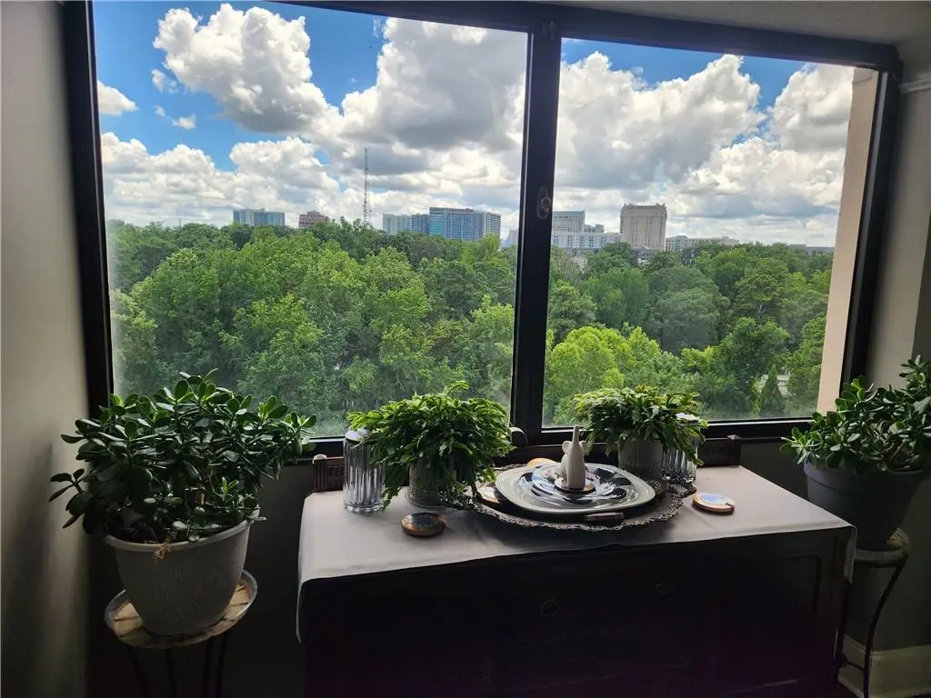 3530 Piedmont Road Ne #12-F, Atlanta, GA 30305 - Image #1