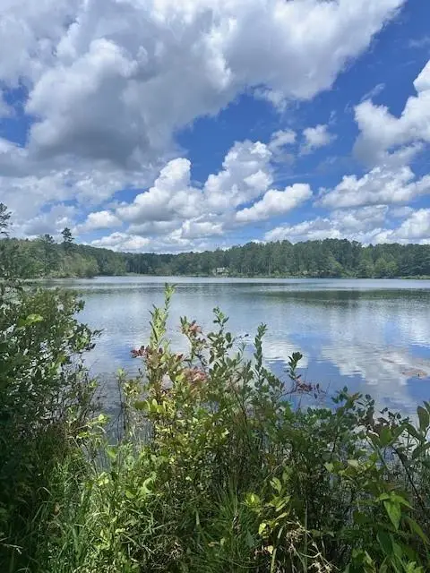 #3