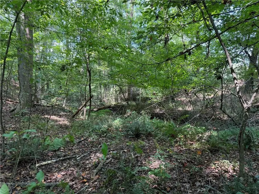 348 A Pat Rich Drive, Canton, GA 30115 - Image #3